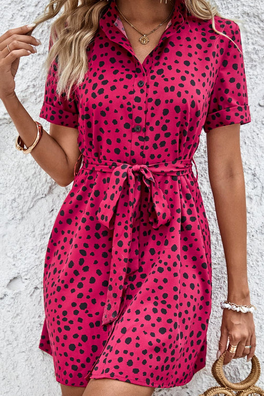 Cre8ed2Luv’s Dotted Short Sleeve Tie Belt Dress